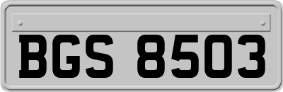 BGS8503