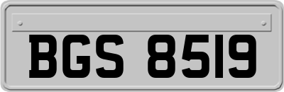 BGS8519