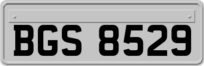 BGS8529