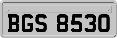 BGS8530