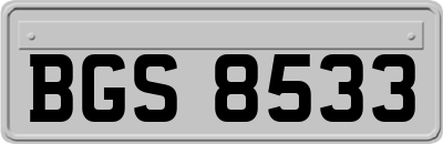 BGS8533