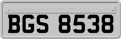 BGS8538