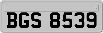 BGS8539