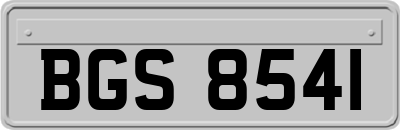 BGS8541