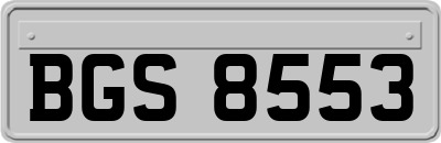 BGS8553