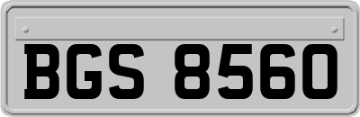 BGS8560