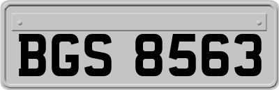 BGS8563