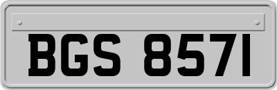 BGS8571