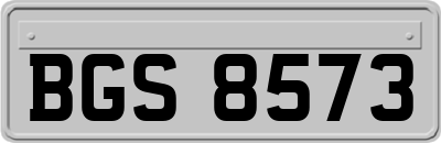 BGS8573