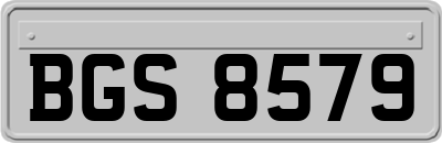 BGS8579