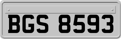 BGS8593