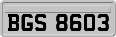 BGS8603