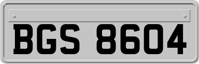 BGS8604