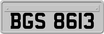 BGS8613