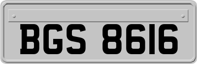BGS8616