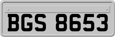 BGS8653