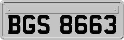 BGS8663