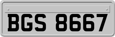 BGS8667