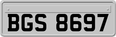 BGS8697