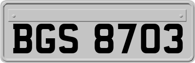 BGS8703