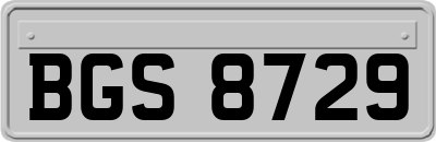 BGS8729