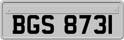 BGS8731