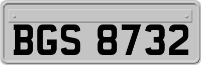 BGS8732