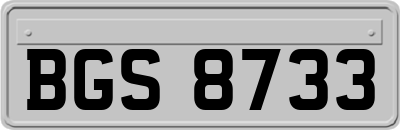 BGS8733