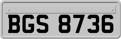 BGS8736