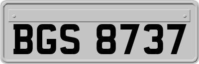 BGS8737