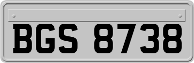 BGS8738