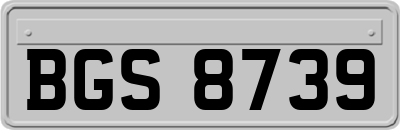 BGS8739