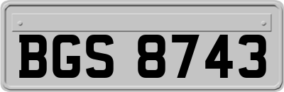 BGS8743