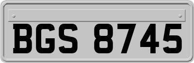 BGS8745