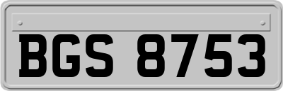 BGS8753