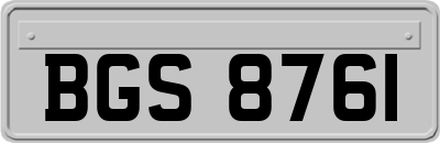 BGS8761
