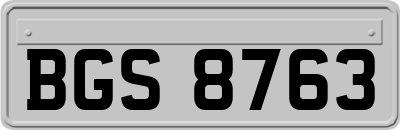 BGS8763
