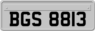 BGS8813