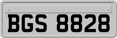 BGS8828