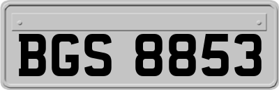 BGS8853