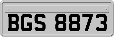 BGS8873