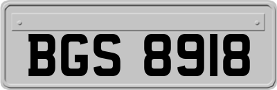 BGS8918