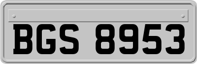BGS8953
