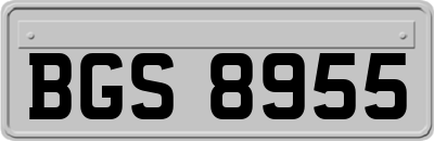 BGS8955