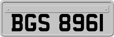 BGS8961