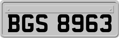 BGS8963