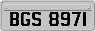 BGS8971