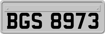 BGS8973