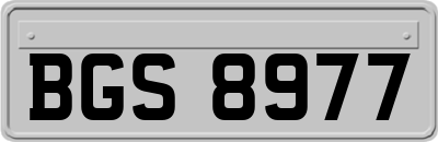 BGS8977