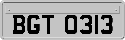BGT0313